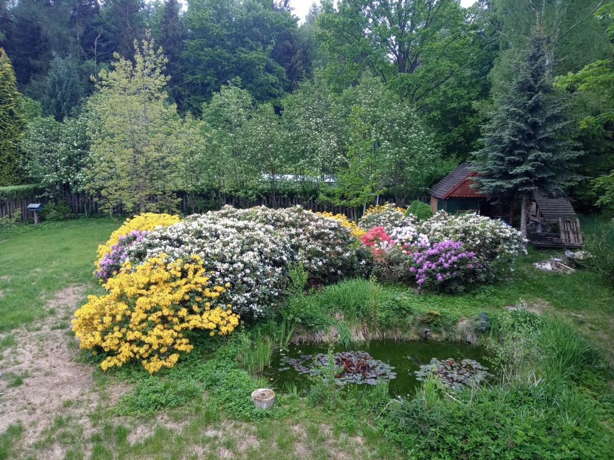 Domek Pod Smielcem Jagniątków Exterior foto